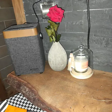 Bzen&spa Appartement *
