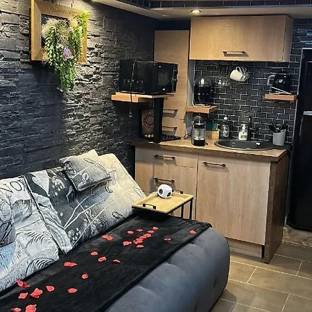 Bzen&spa Appartement *